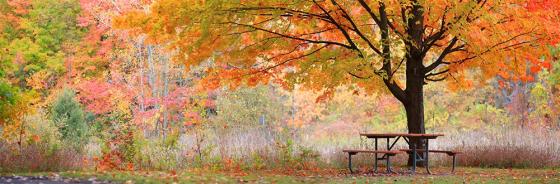 Herbst Herbstlied