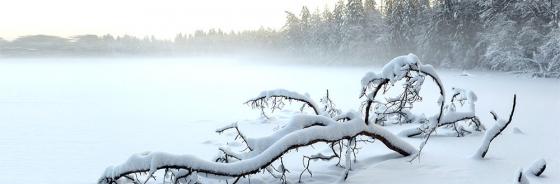 Schweigen im Winter